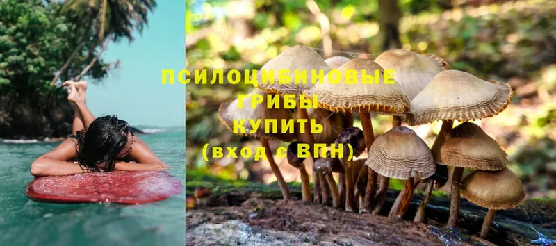 сайты даркнета как зайти  Бирюсинск  Галлюциногенные грибы MAGIC MUSHROOMS  купить закладку 